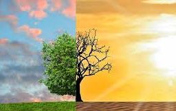 Por que a mudança climática não interessa aos economistas