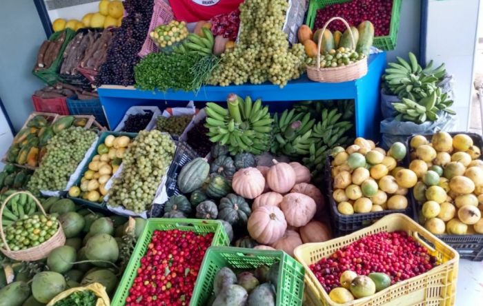 Segurança alimentar é obrigação prioritária do Estado