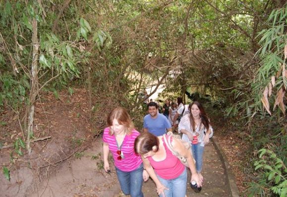Manifesto no Bosque dos Xetás, em Umuarama