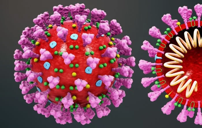 15 perguntas e respostas sobre a pandemia de coronavírus