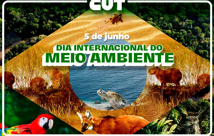 Dia do Meio Ambiente foca na COP30 e na resistência ao PL da Devastação 