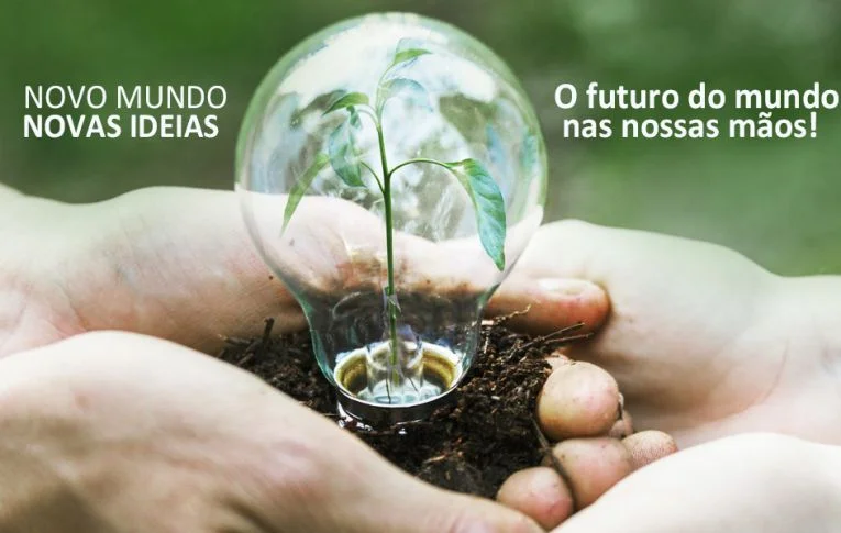 Dia Mundial do Meio Ambiente: um chamado urgente à ação coletiva pelo planeta