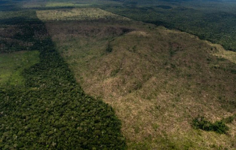 Governo Bolsonaro: Amazônia registra maior devastação em 15 anos
