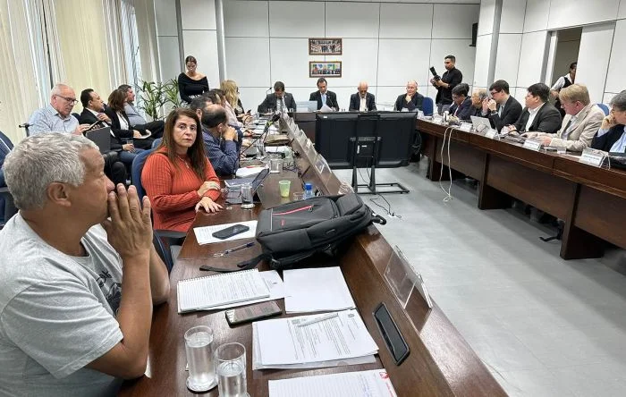 Inclusão de riscos psicossociais em NRs foram destaque de debate em Brasília 